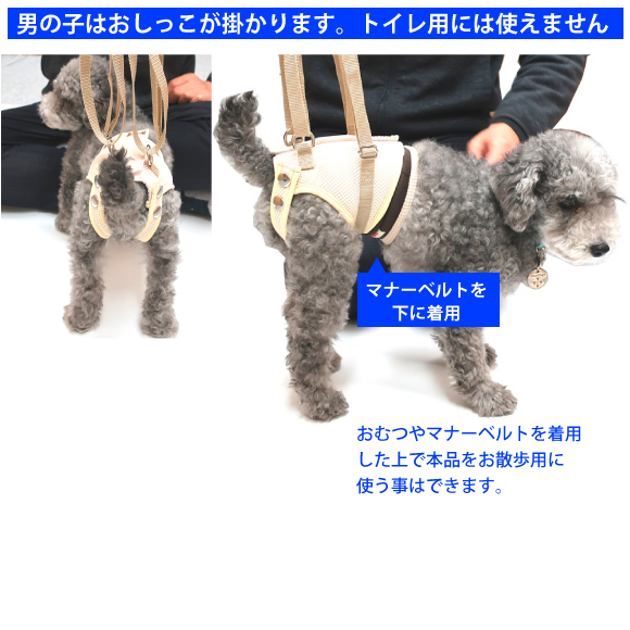 メッシュアシストベスト着用例