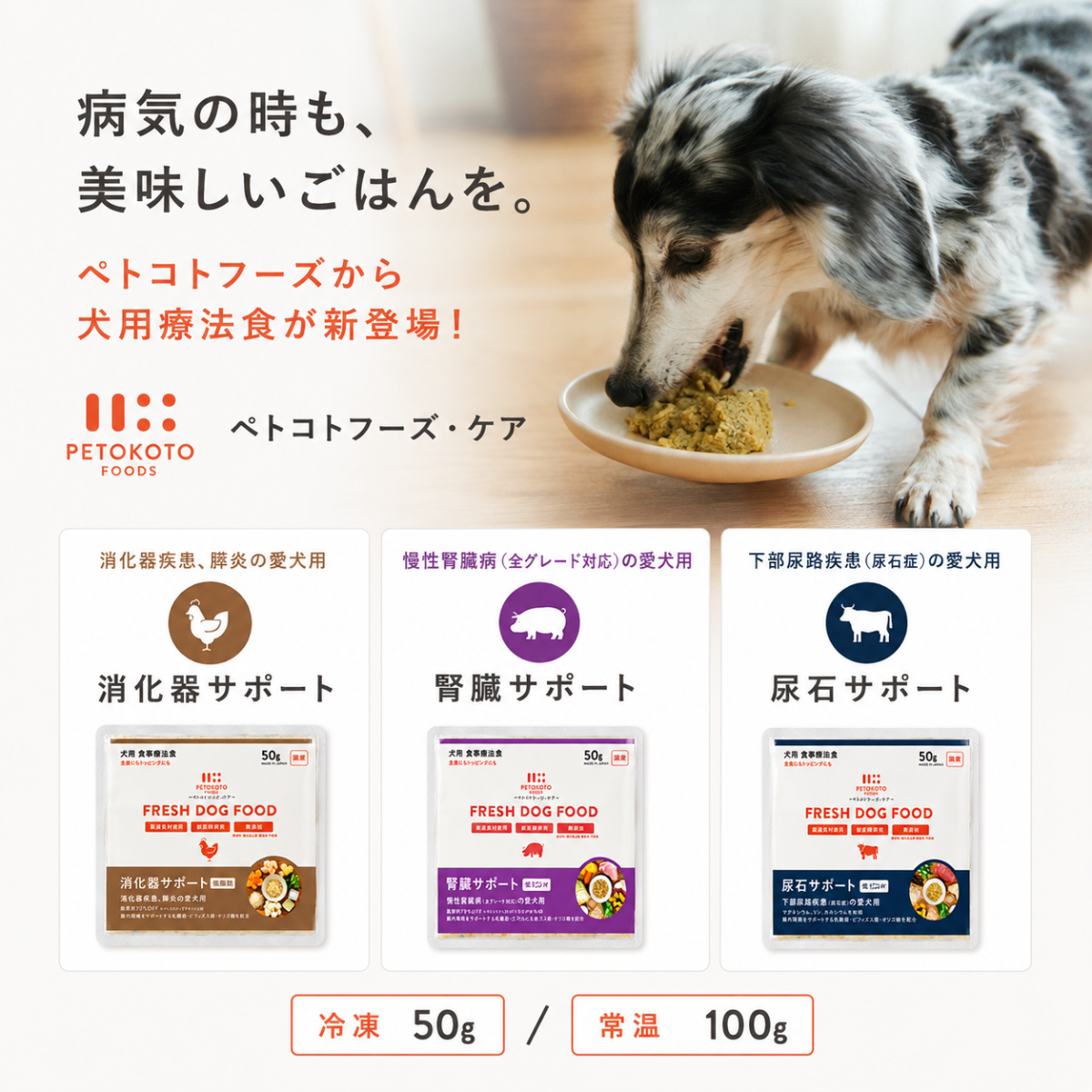 【ペトコトフーズ・ケア】 冷凍手作りドッグフード(50g×10パック) 腎臓 消化器 尿石 療法食 国産 無添加 獣医師監修 ウェットフード トッピング 老犬 シニア