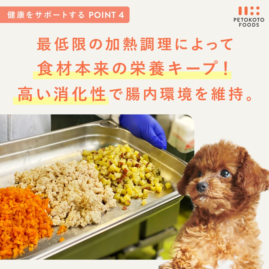 犬 ウェットフード 手作りごはん 国産無添加ドッグフード 総合栄養食