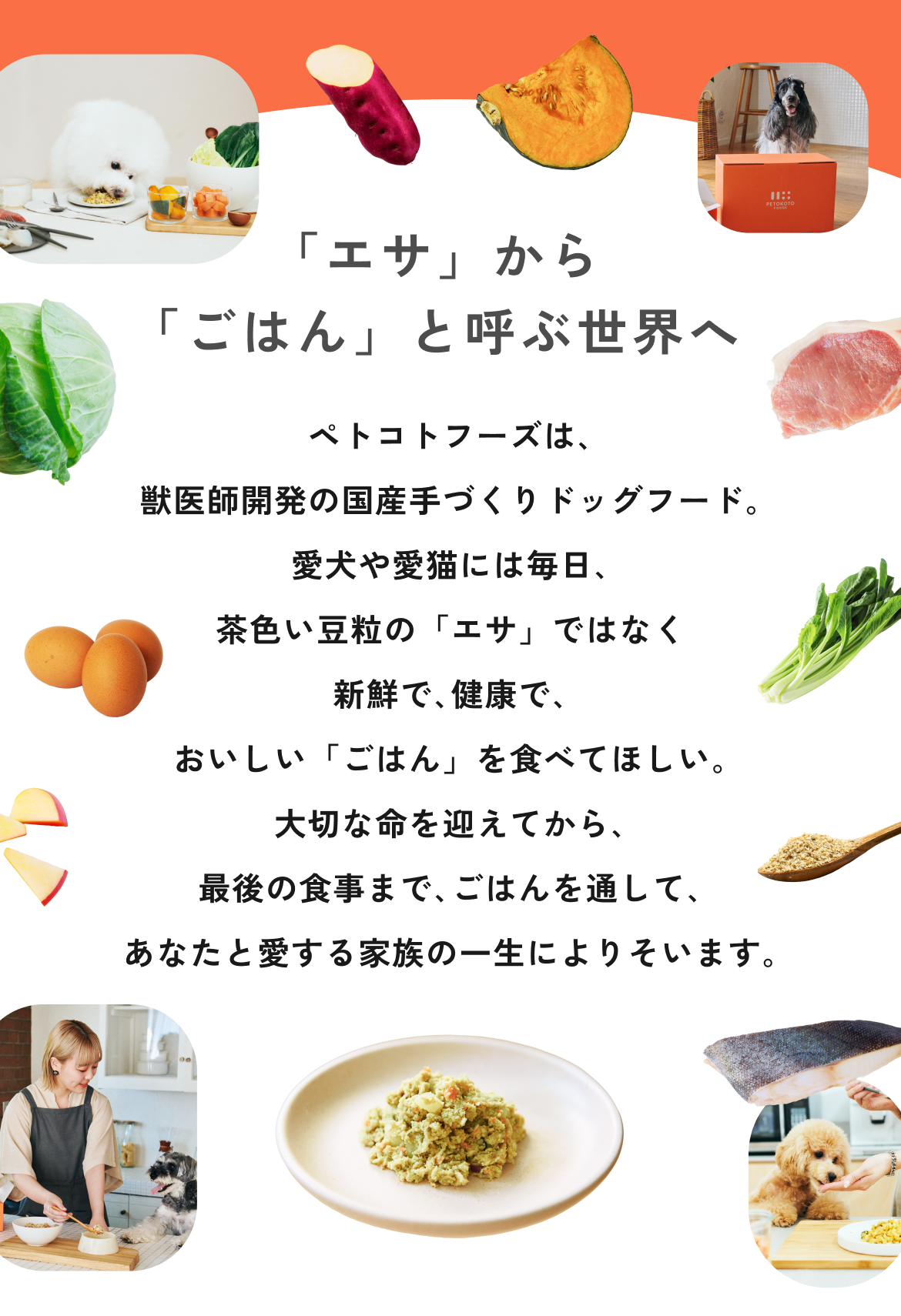 ペトコトフーズ Yahoo!ショッピング店 - Yahoo!ショッピング
