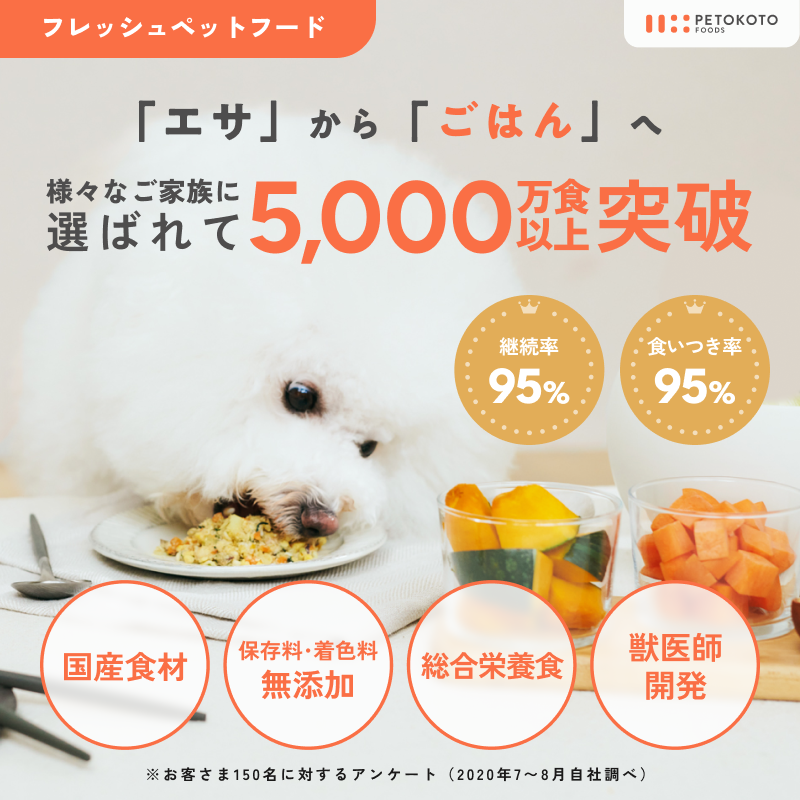 PETOKOTO FOODS 【公式】【常温2年保存】ペトコトフーズ 国産 無