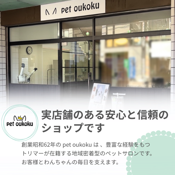 ソルビダ グレインフリー チキン 1.8kg 室内飼育体重管理用 ダイエット 低脂肪 低カロリー 減量 オーガニック ドッグフード SOLVIDA 関連画像5