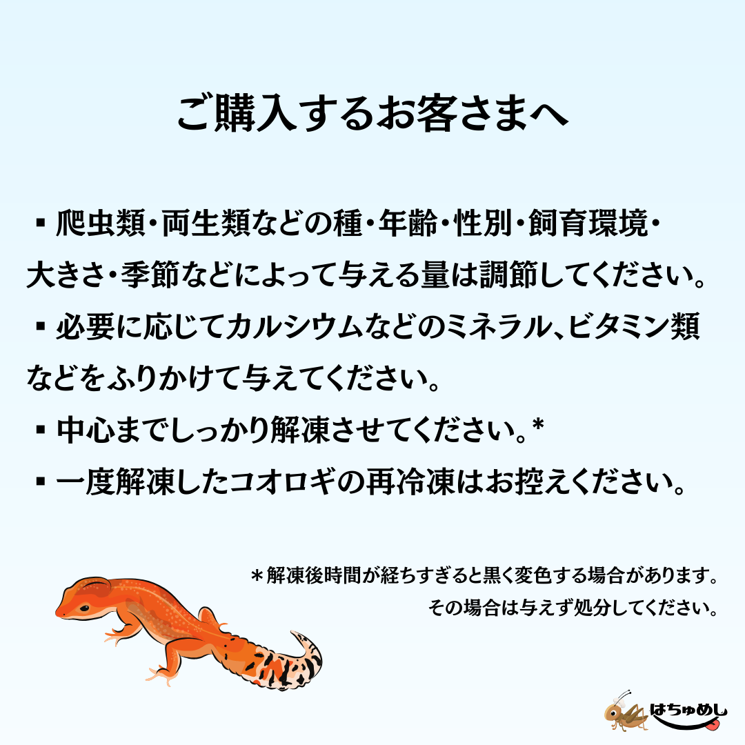 送料無料 国産冷凍コオロギ】Sサイズ 30g はちゅめし 爬虫類エサ