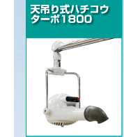 サポート実績
