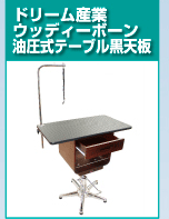 サポート実績