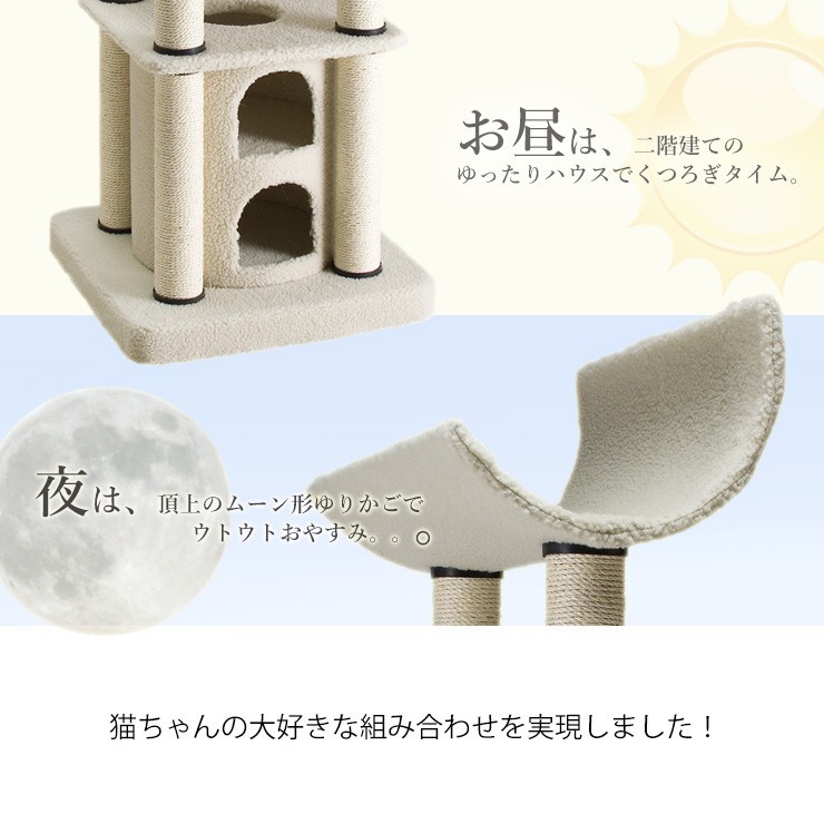昼と夜の遊び場所