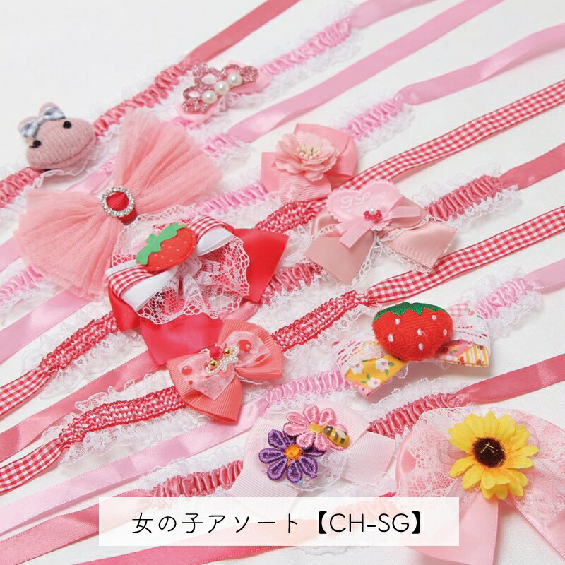 ペット用 おまかせチョーカーアソート 紐のタイプ 10本入 犬猫 首飾り サロン トリマーさんオススメ メール便3点までOK | ブランド登録なし | 01