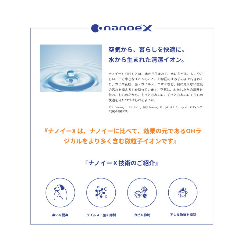 ナノイーX