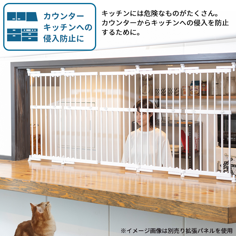 petselect(公式) のぼれんニャン 窓用 Mサイズ 猫 脱走防止 猫用 開閉