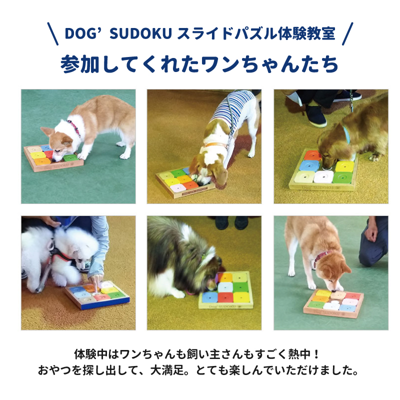 petselect(公式)ペット おもちゃ Dog' SUDOKU スライドパズル カラフル 