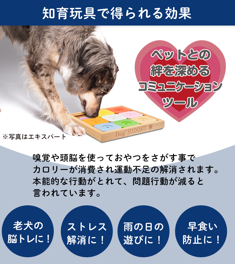 petselect(公式)ペット おもちゃ Dog' SUDOKU スライドパズル カラフル エキスパート 犬用 木製 知育 トイ 犬 ノーズワーク ptu｜petselect｜04