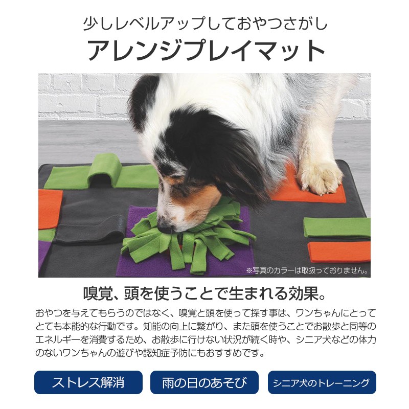 新品★ Pets Rule! 5冊セット洋書 Pets Rule! Series (7 Books) Complete Set (Books 1-7): Susan