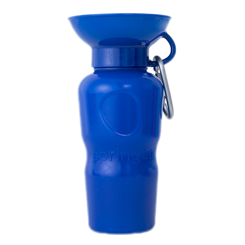 Amazon | 水筒 350ml ディズニー チップとデール 水筒 子供