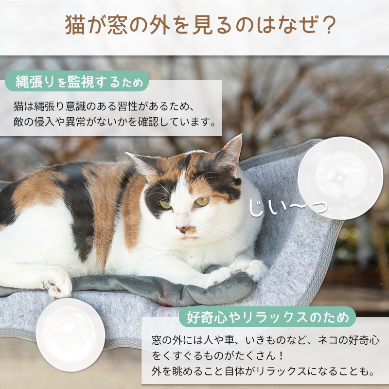 ブランド雑貨総合 猫 窓 ハンモック ベッド キャットタワー おしゃれ