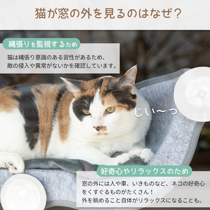 petselect(公式) 猫 窓用 ベッド ひなた ニャンコ （そらまめ） 体重約