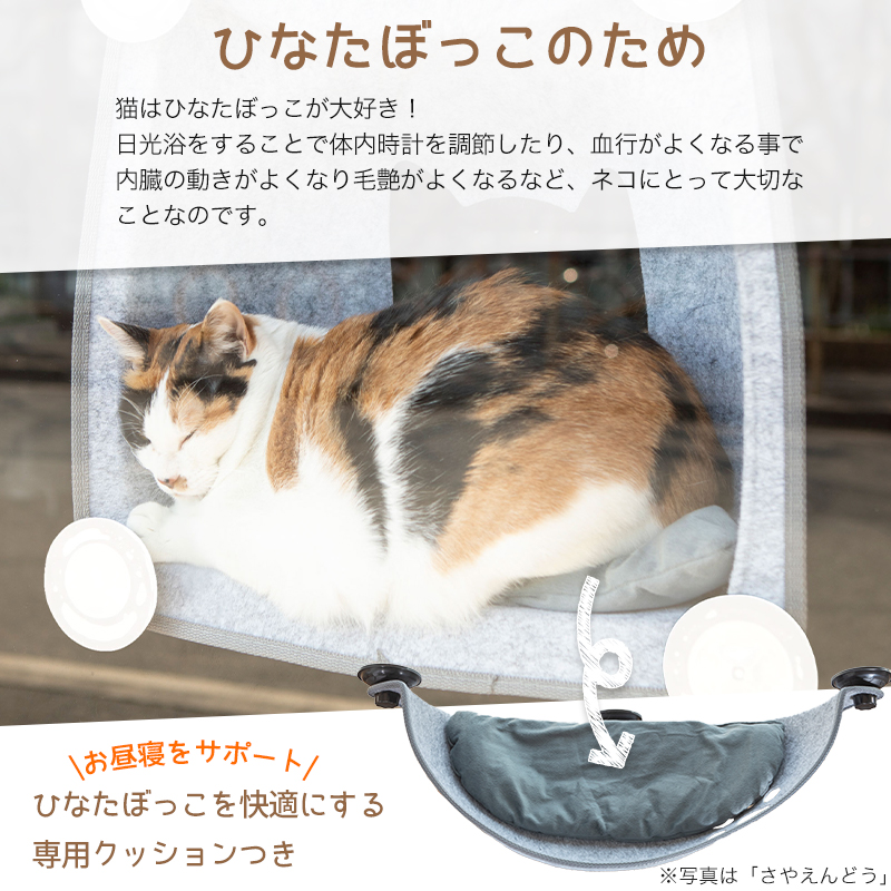 petselect(公式) 猫 窓用 ベッド ひなた ニャンコ （そらまめ） 体重約