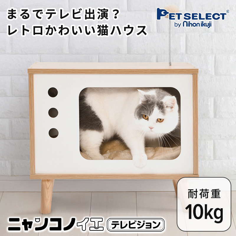 ニャンコノイエ(テレビジョン)