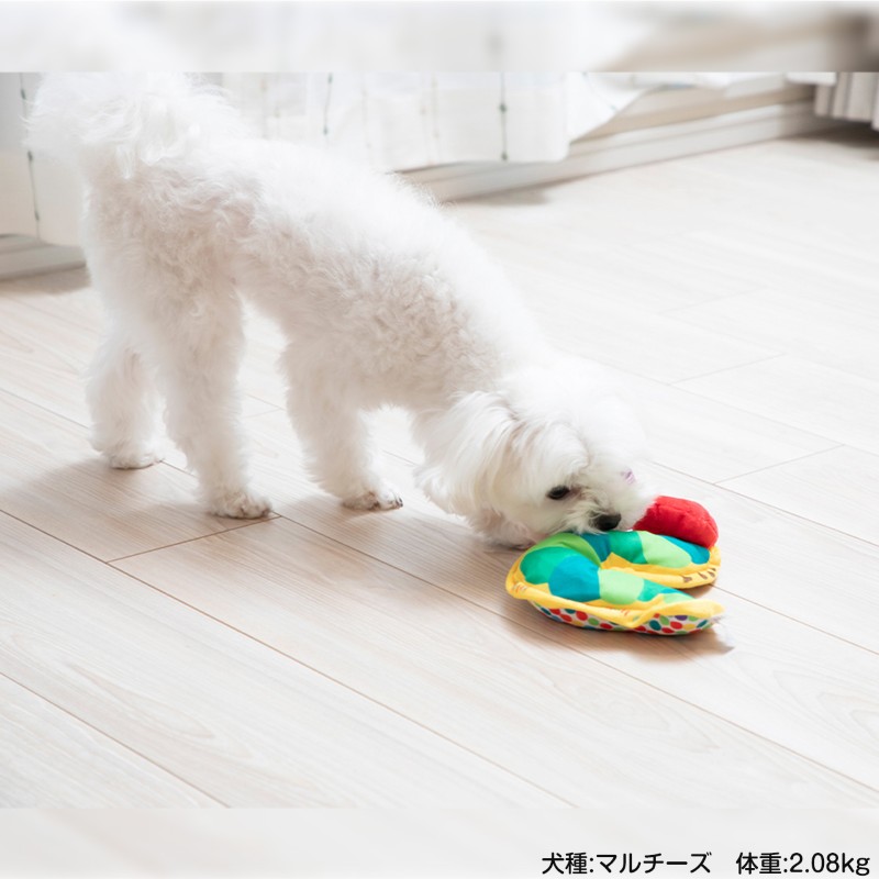 レア Toy Box ペプシ PEPSI ペプシコーラ ぬいぐるみ 犬 Amazon.com