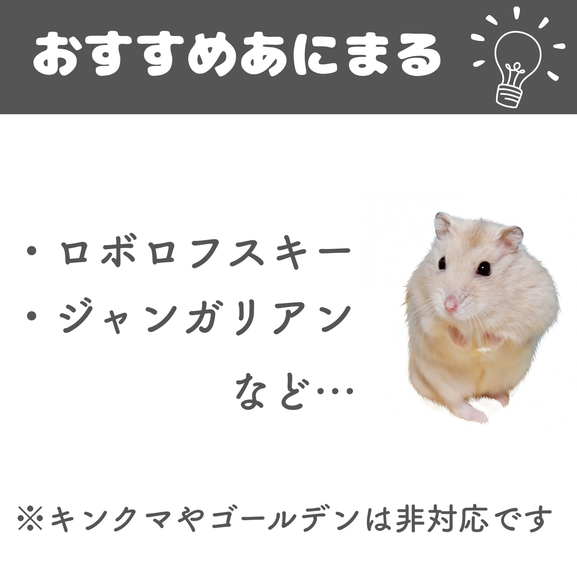 対象の動物