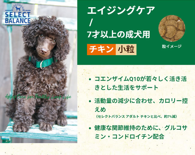 5％OFF PURE FEELINGロイヤルカナン ベッツプラン 犬用 エイジングケア