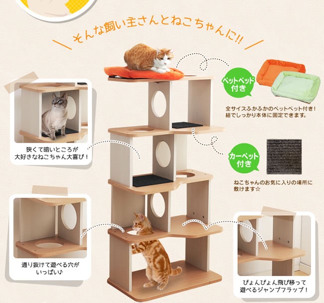 キャットランド トップ画 2