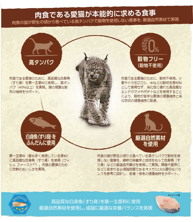 ニュートロ ワイルドレシピ キャットフード アダルト白身魚 成猫 ニュートロ ワイルドレシピ キャットフード アダルト白身魚 成猫