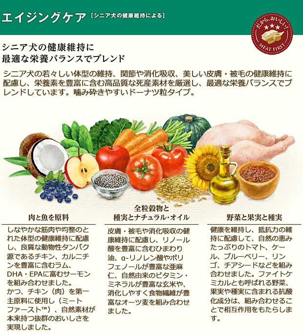 シニア中大型