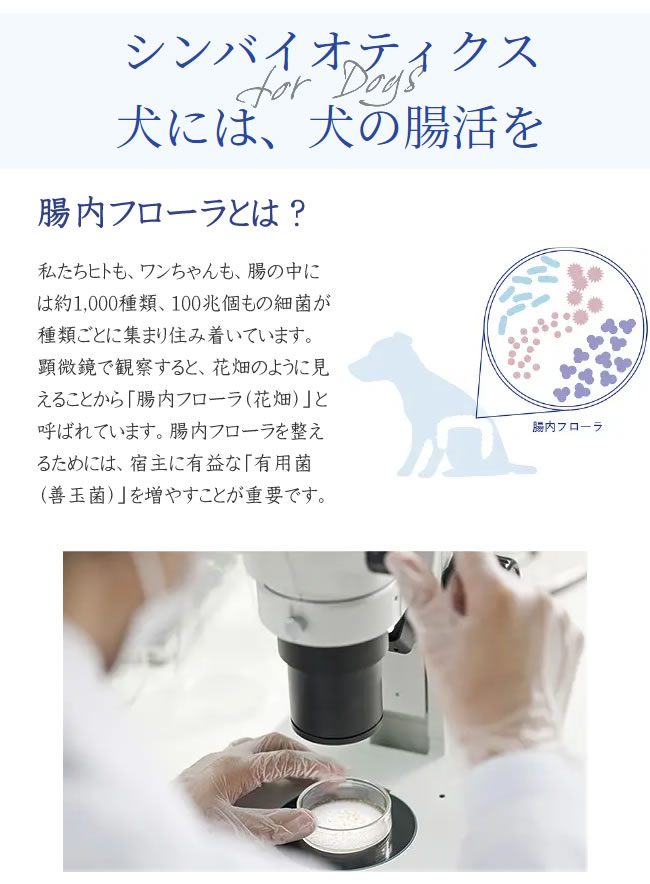 ペットライン JPスタイル Clinista 消化器ケア 胃腸が敏感で軟便がちな愛犬用 チキン 800g :4902162058508:ペッツマム -  通販 - Yahoo!ショッピング