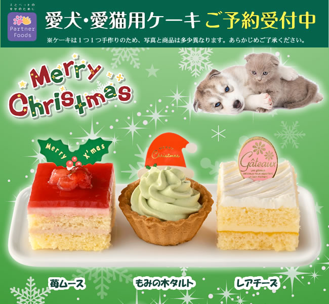 予約販売】ペットライブラリー 犬猫用プチケーキアソート