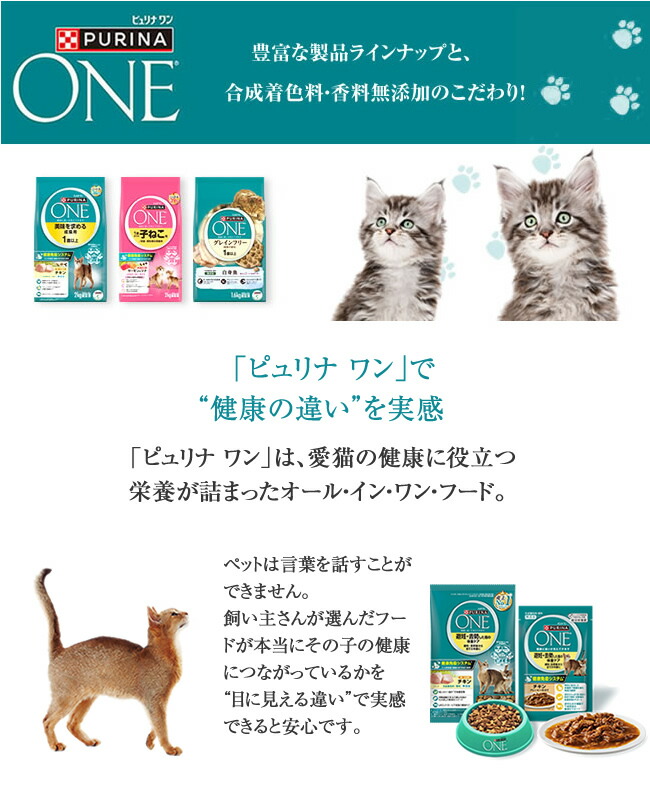 ピュリナワン　パウチ（ウエットタイプ）4種類　144袋 Amazon.co.jp: ピュリナ ワン キャット パウチ キャットフード