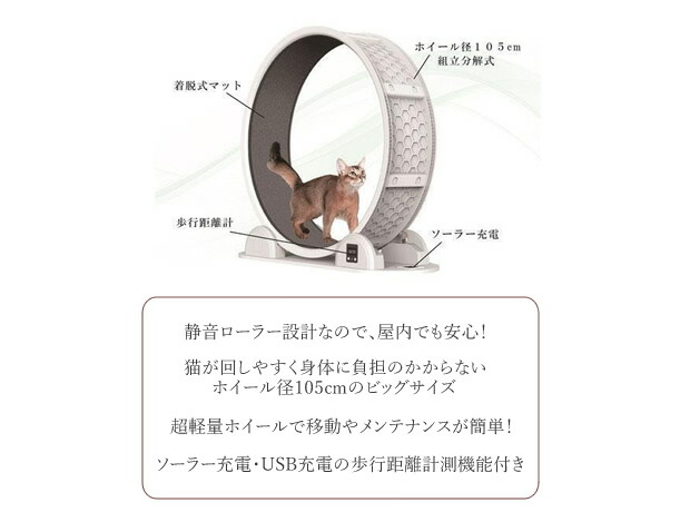 ○B-blast キャットホイール ビーブラスト 猫用品 おもちゃ 運動 爪