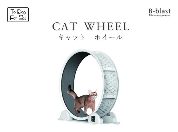 ○B-blast キャットホイール ビーブラスト 猫用品 おもちゃ 運動 爪