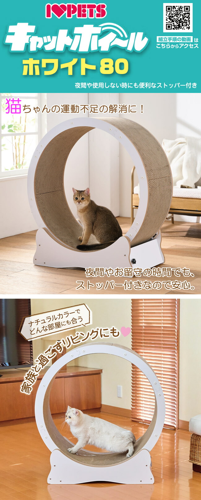 ボンビアルコン キャットホイール ホワイト80 7kgまで 猫用 組み立て