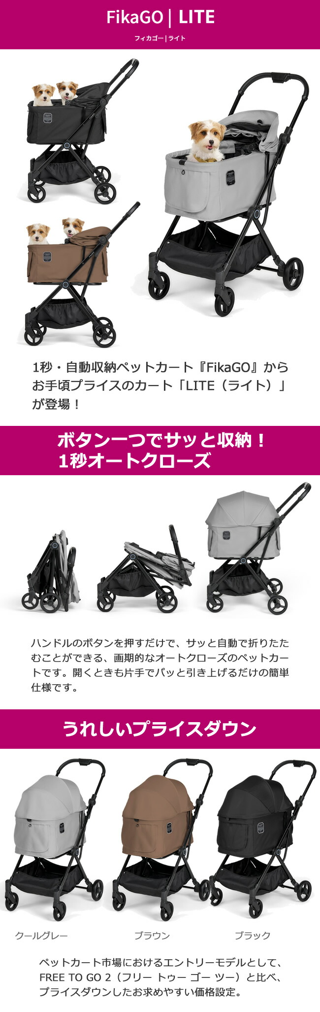 フィカゴー ライト