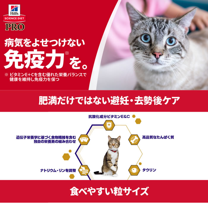 猫避妊去勢1