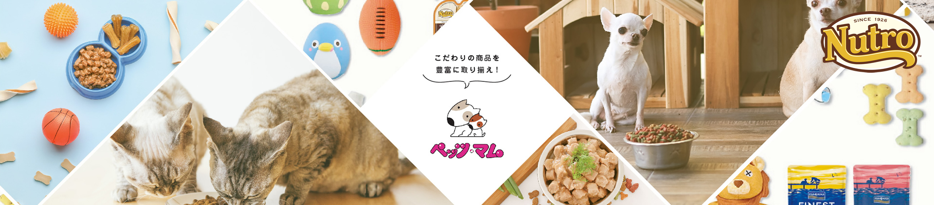 ペッツマム 2号店 ヘッダー画像