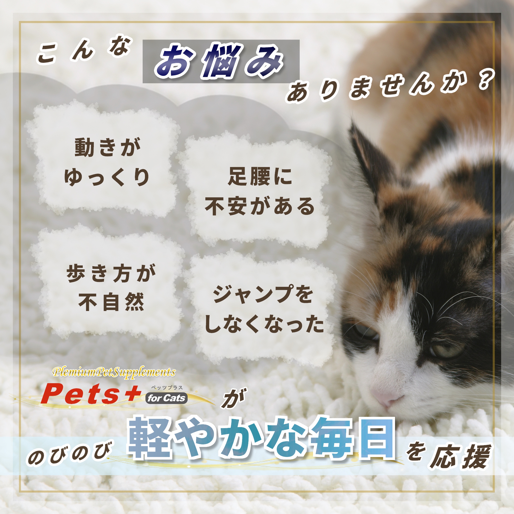 Pets+（ペッツプラス） 猫 サプリ 関節 足腰 ケア 健康 シニア 高齢猫