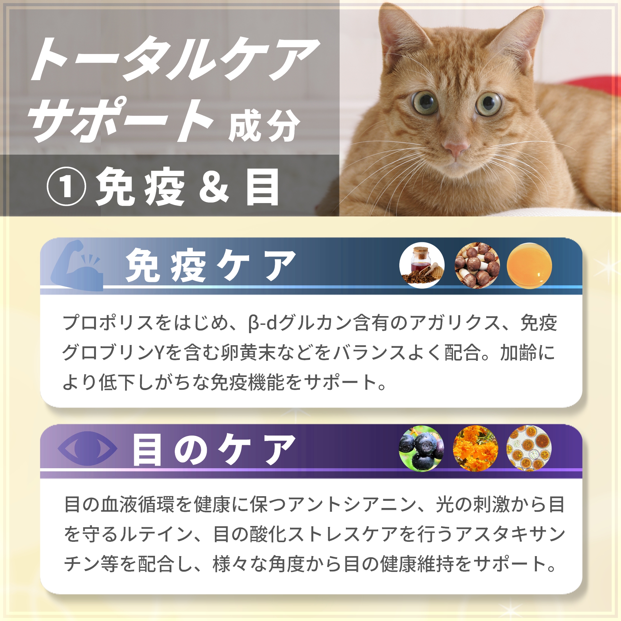 Pets+（ペッツプラス） 猫 サプリ オールインワン 免疫 目 脳 関節