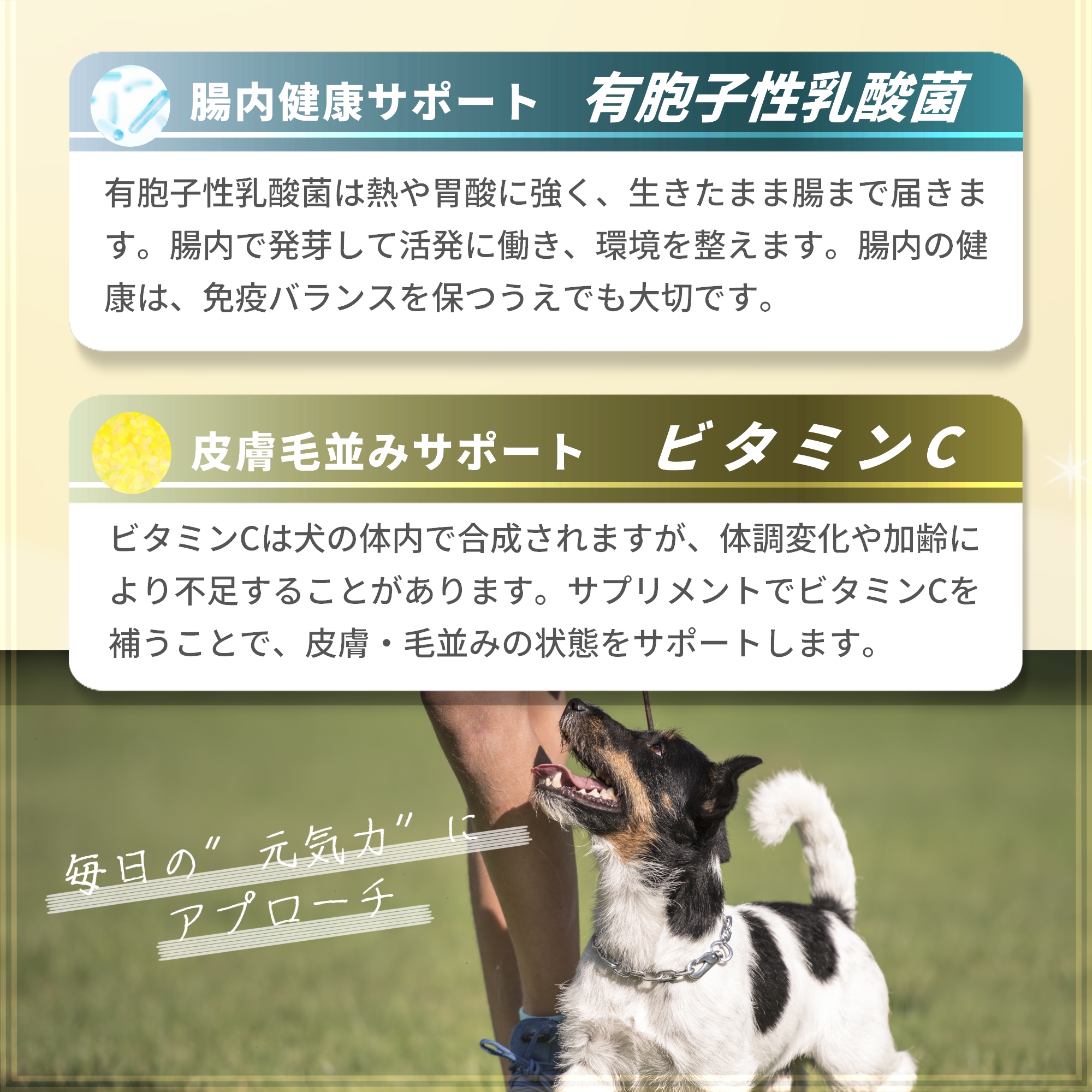 Pets+（ペッツプラス） 2個セット 免疫力 犬の サプリメント β-d