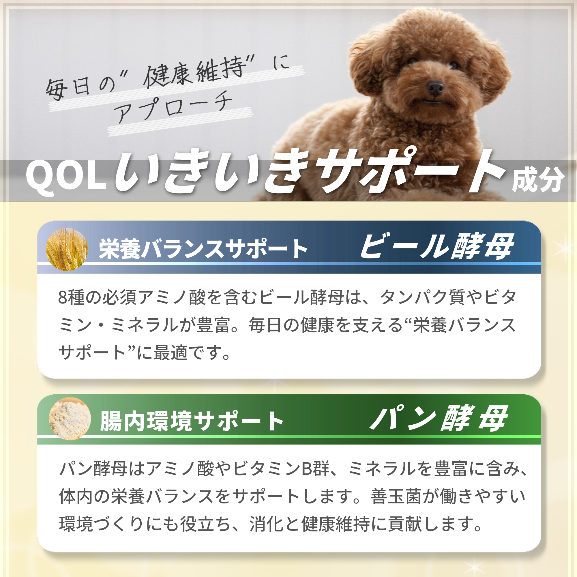 Pets+（ペッツプラス） 犬 サプリ QOL 免疫力 ケア 健康維持 シニア