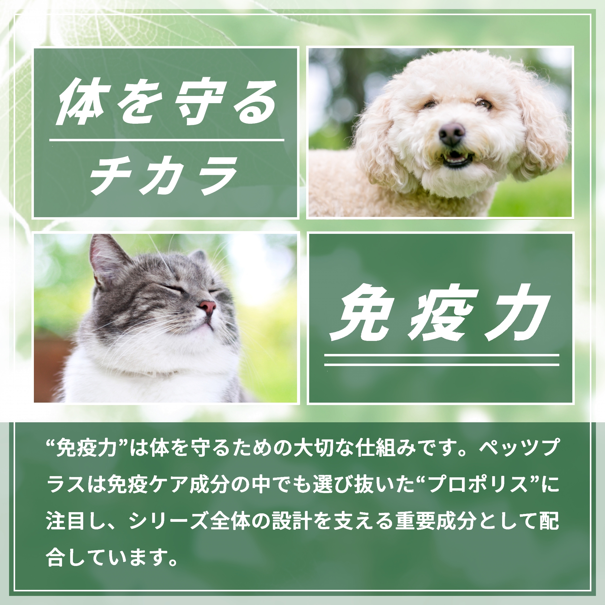 Pets+（ペッツプラス） 猫 サプリ オールインワン 免疫 目 脳 関節