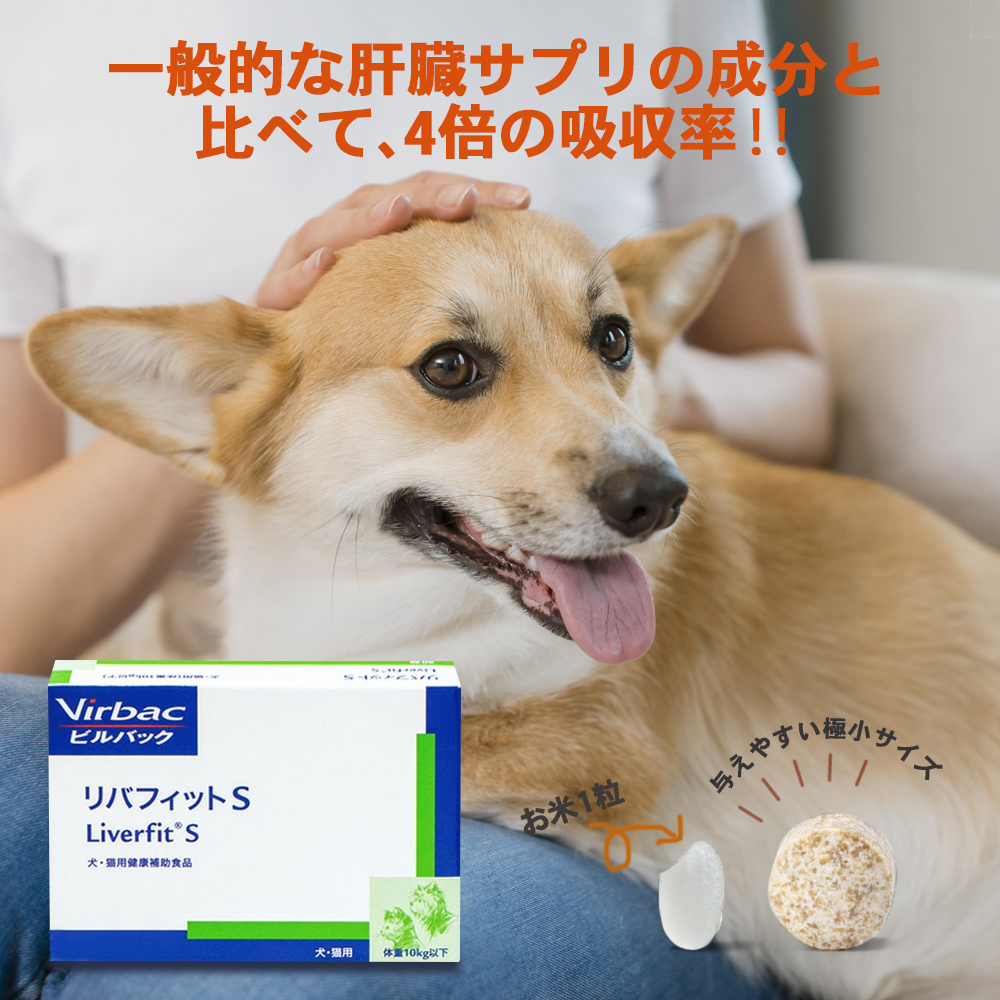 商品イメージ1