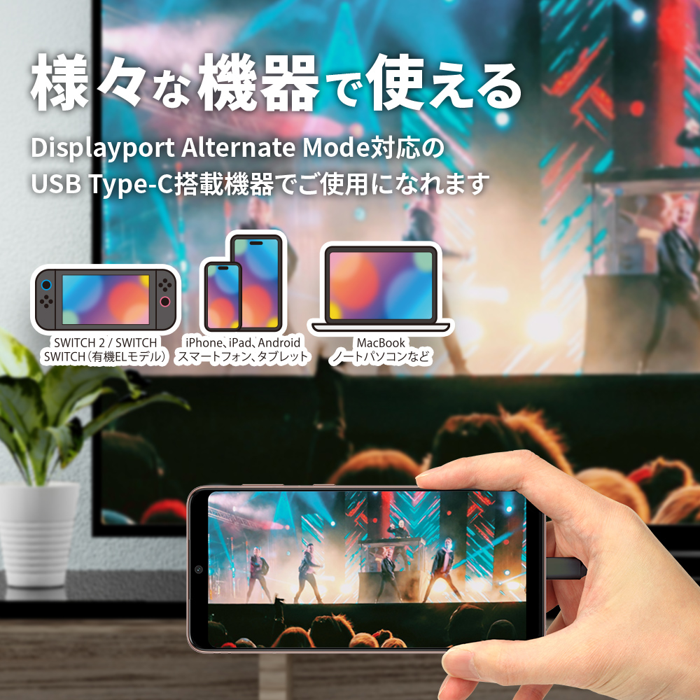 ネット配信 動画配信 HDMI ミラーリングケーブル 2m USB Type-C