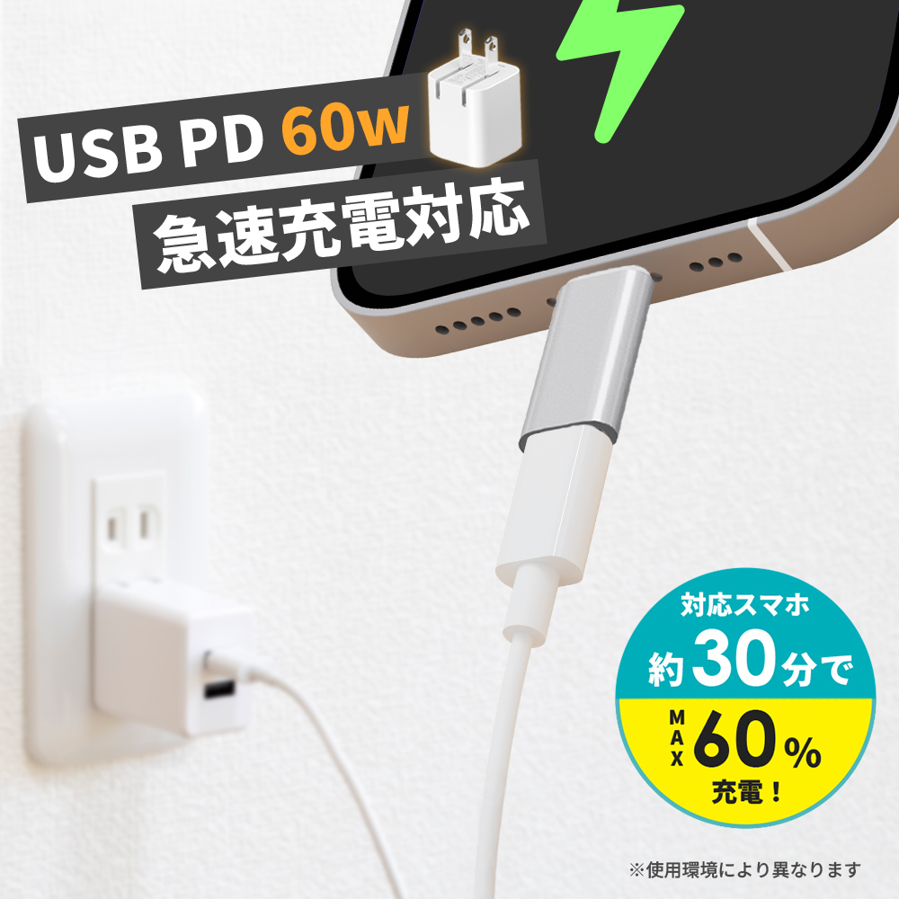 Premium Style Lightning to USB Type-C 変換アダプタ 急速充電 データ