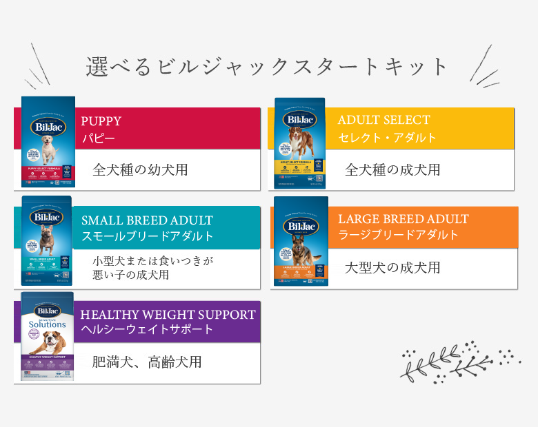 ビルジャックスタートキット