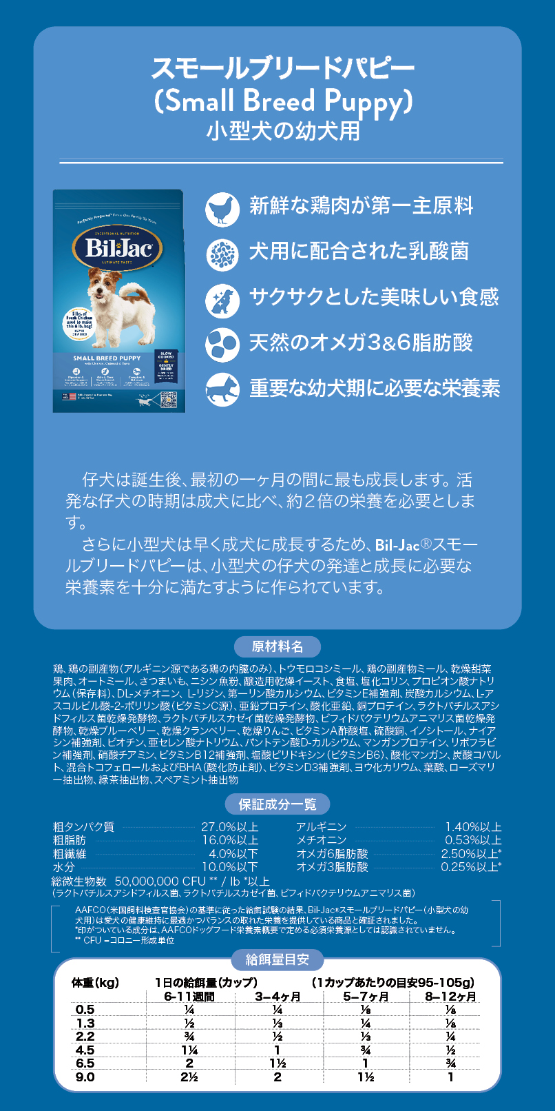 レギュラー商品