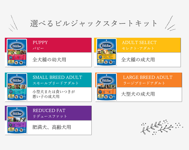 ビルジャックスタートキット
