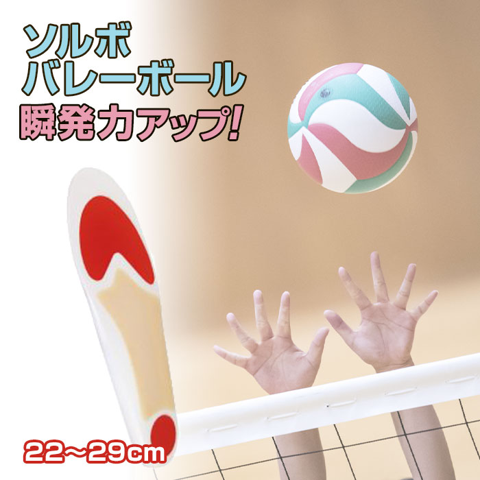 ソルボ インソール SORBO DSISソルボバレーボール 中敷 バレー
