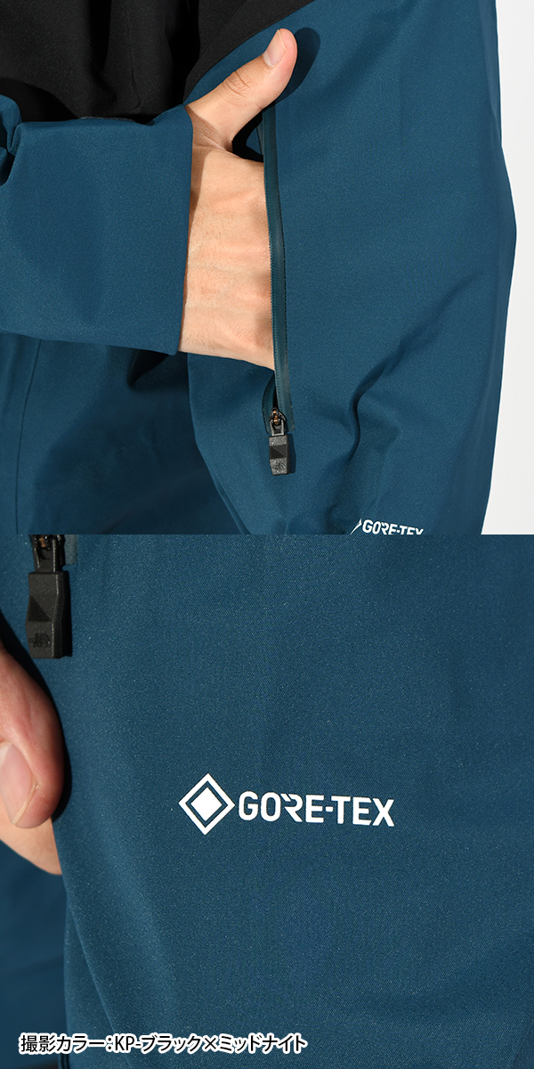 THE NORTH FACE ノースフェイス レディース 高機能 GORE-TEX 3層