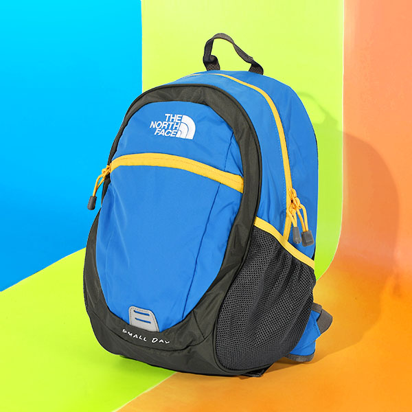 THE NORTH FACE（ザ ノースフェイス） ノースフェイス 子供 リュック